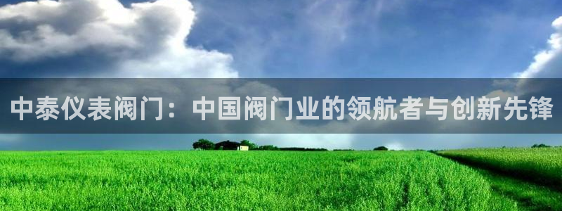 云顶国际平台游戏
