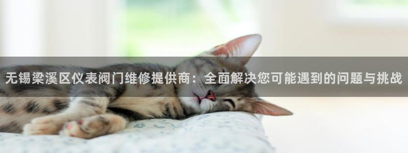 云顶国际官网app下载