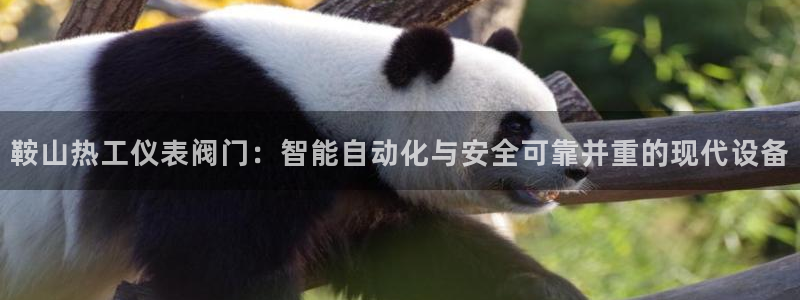云顶国际的客服几点在线