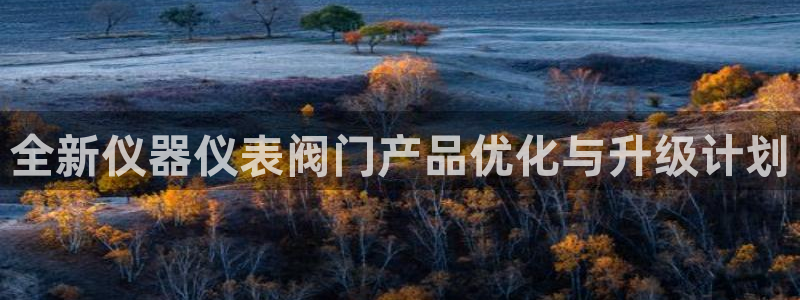 云顶国际服名字