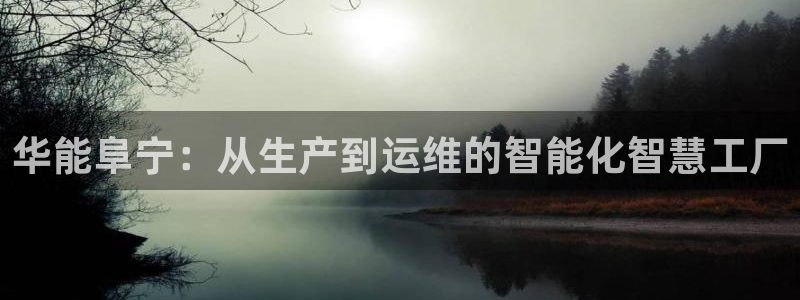 云顶集团董事长是谁