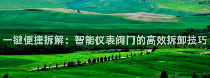 云顶国际酒店老板简介