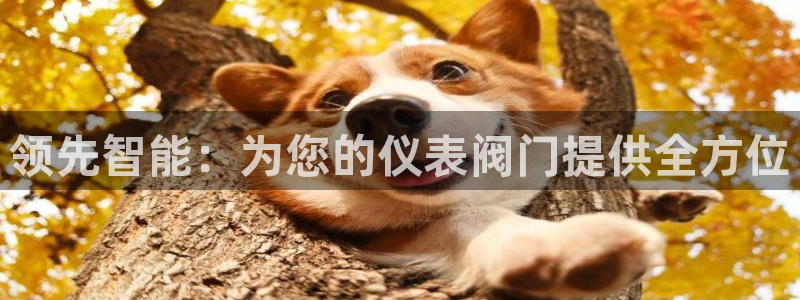 云顶国际能提现吗安卓