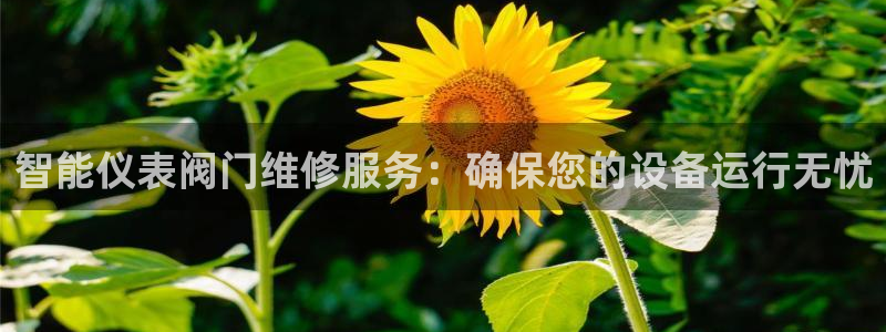 云顶国际平台为什么提现不了