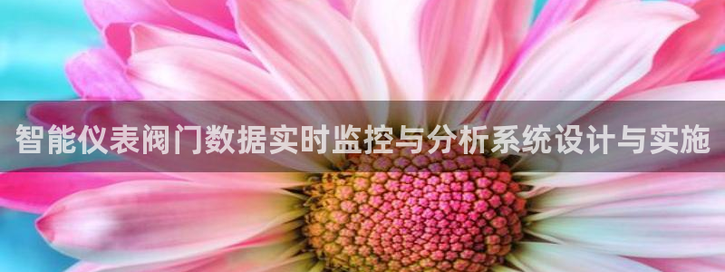 云顶国际是做什么的