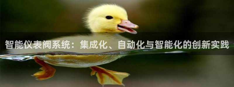 云顶电子游戏网站