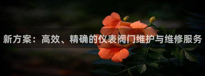 云顶国际服怎么换服务器