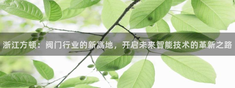 云顶yy