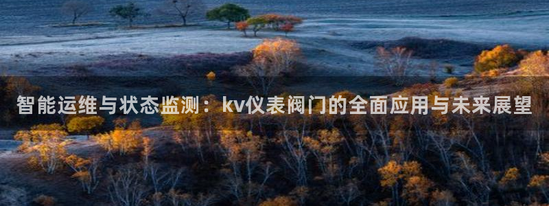 云顶国际黑网不出款了