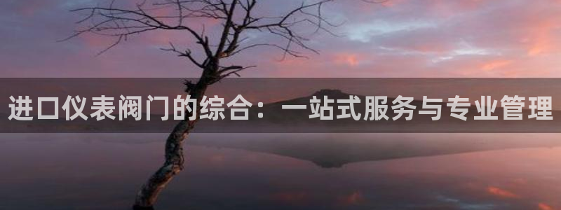 云顶国际测试服