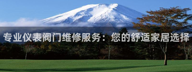 云顶集团游戏app8293