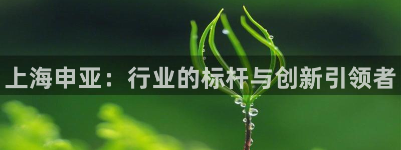 云顶国际服s9更新时间