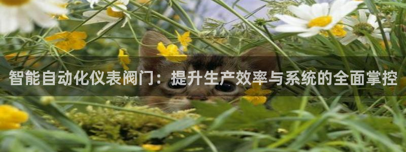 云顶国际酒店位置从后王坐几路公交车太原