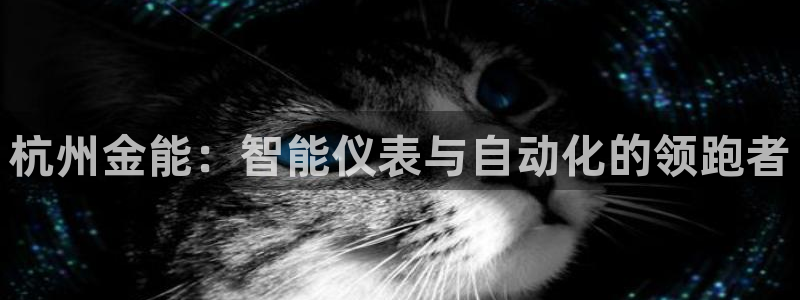 云顶国际培训机构