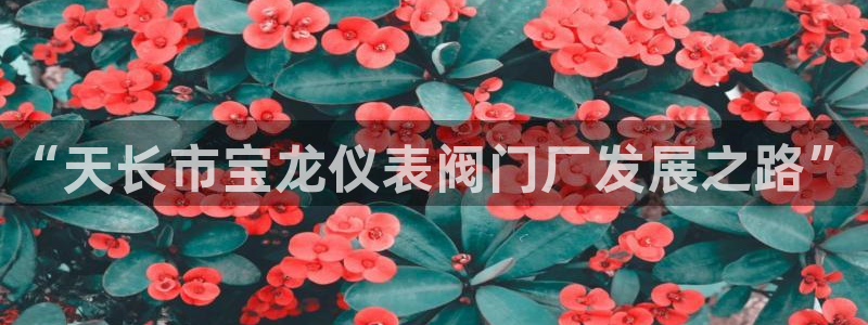 云顶国际宴会中心的凉菜