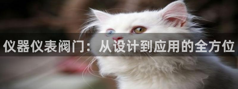 云顶集团游戏app8800