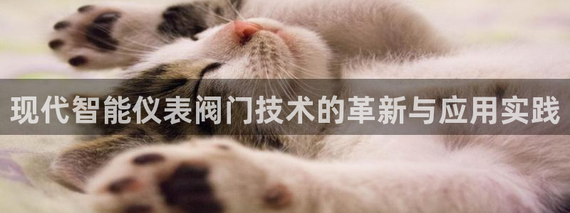 云顶集团有限公司简介概况