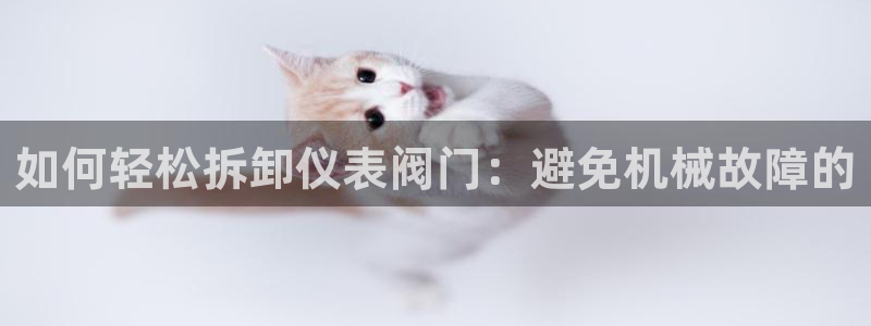 云顶国际装饰设计招聘