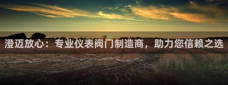 云顶国际服汉化