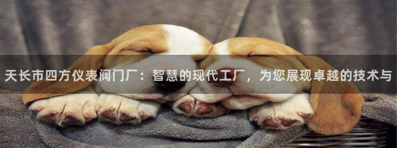 云顶国际城手机网址查询