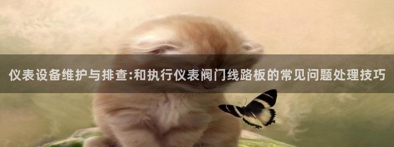 云顶国际装饰设计 宁波