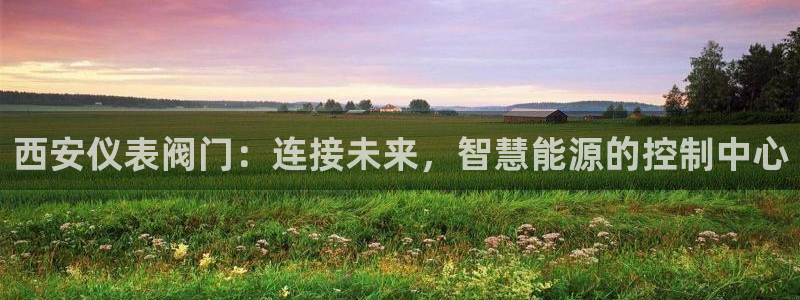 云顶集团在中国上市了吗