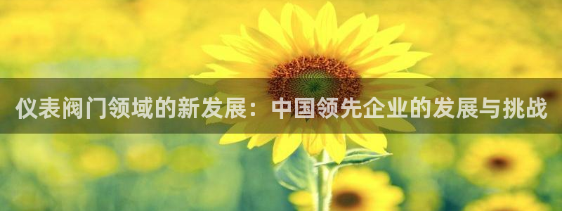 云顶集团游戏app8293