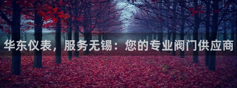 云顶国际电子游戏怎么玩