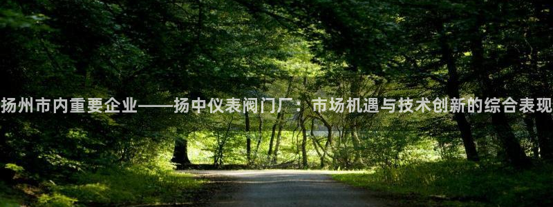 云顶国际中国官方网站入口