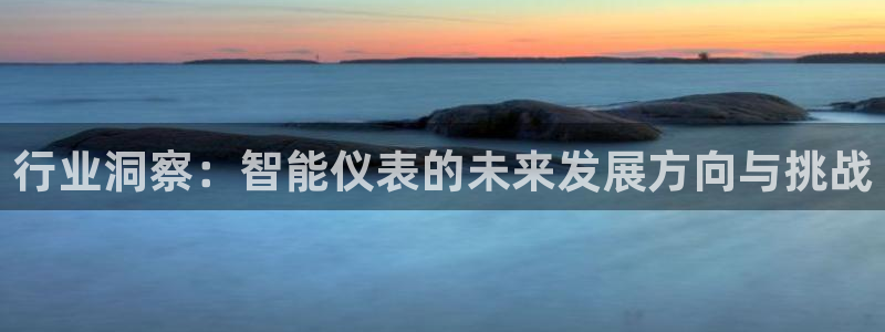 yd2333云顶电子游戏