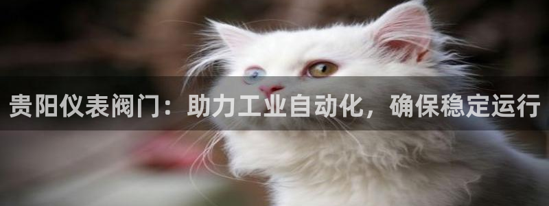 云顶国际区块链怎么样