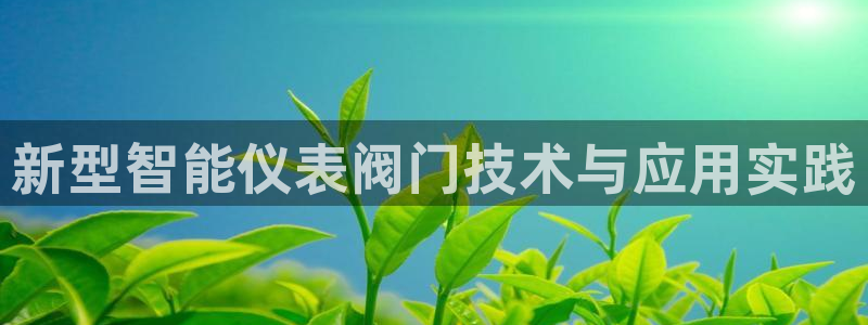 云顶集团游戏app8293