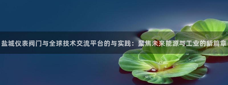 云顶国际二手房出售价格