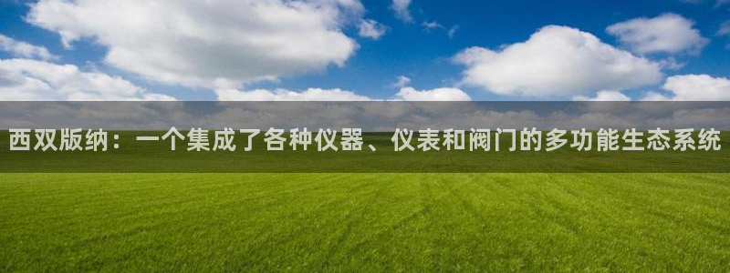最新版云顶攻略