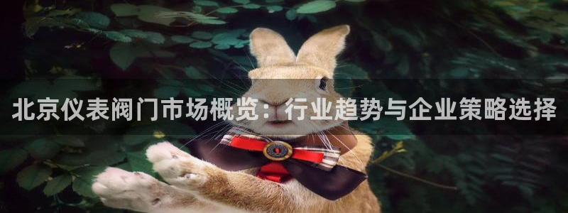 云顶手游国际版