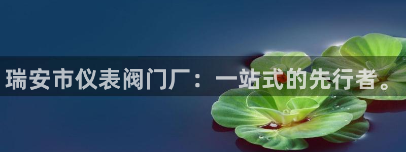 云顶国际旅行社官网