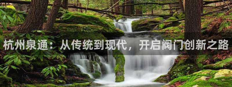 云顶国际平台游戏