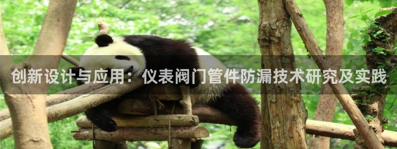 云顶国际足球app下载安装