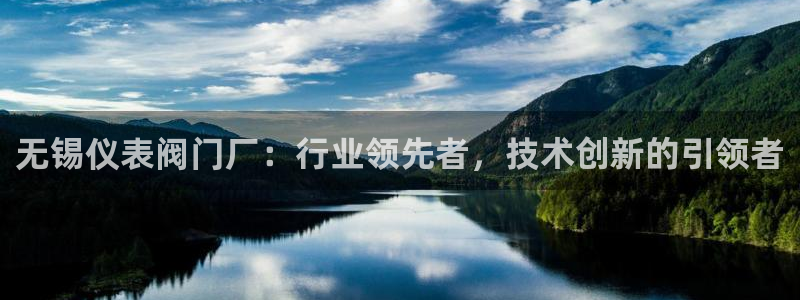 云顶国际账号怎么登录不了游戏