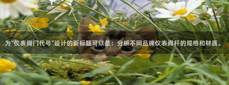 云顶国际晟荣协会高峰