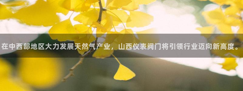 云顶国际是什么软件