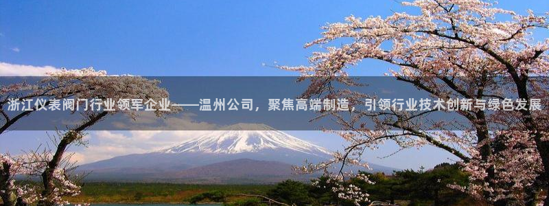云顶集团 中国