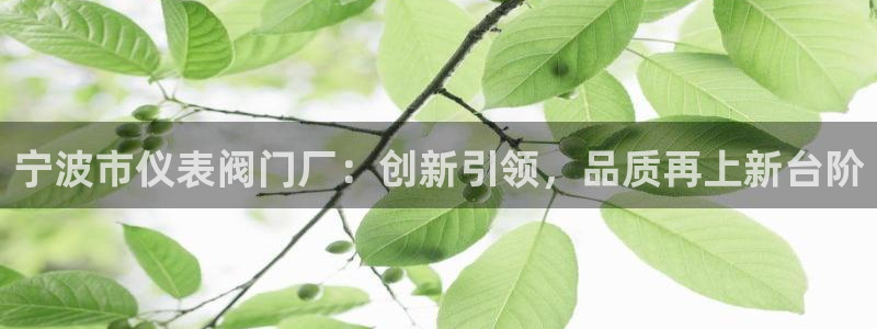云顶集团公司