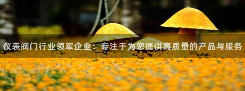 云顶国际平台app