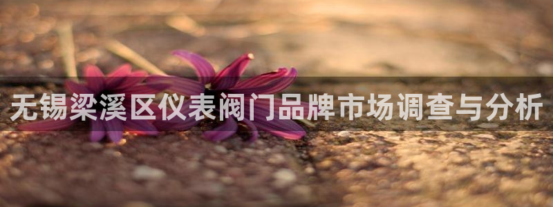 云顶集团专属APP9.0