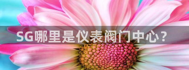 云顶国际音乐会所怎么样