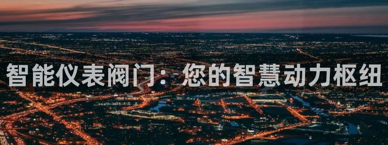 云顶集团林志华简介