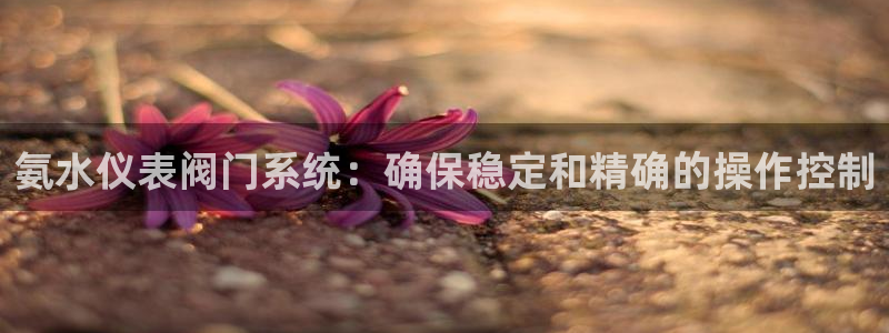 云顶国际公馆二手房