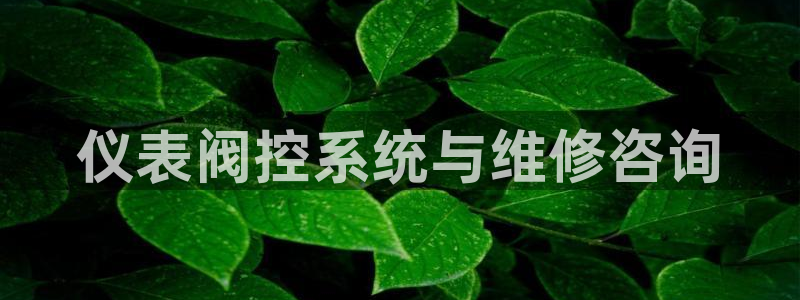 中国云顶控股集团