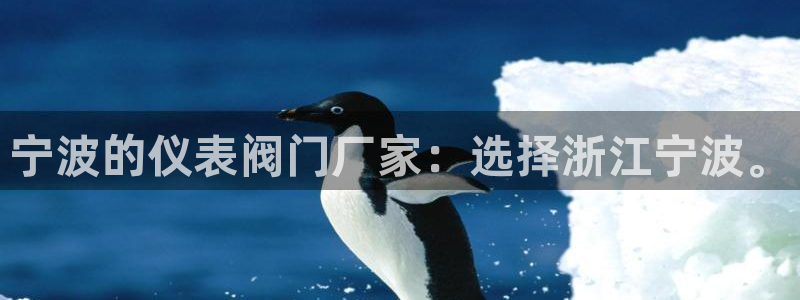 云顶国际高中学费多少